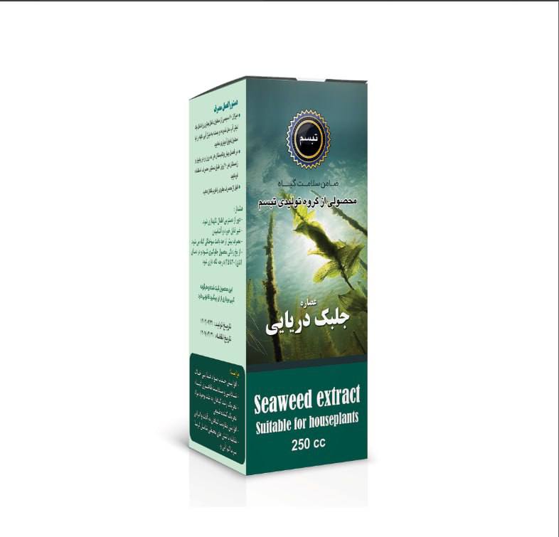 جلبک دریایی