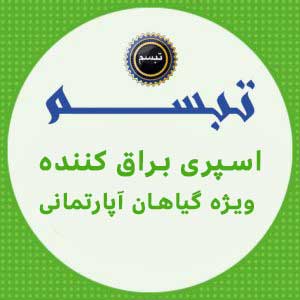 اسپری براق کننده