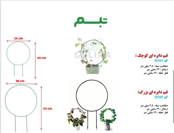 قیم دایره ای