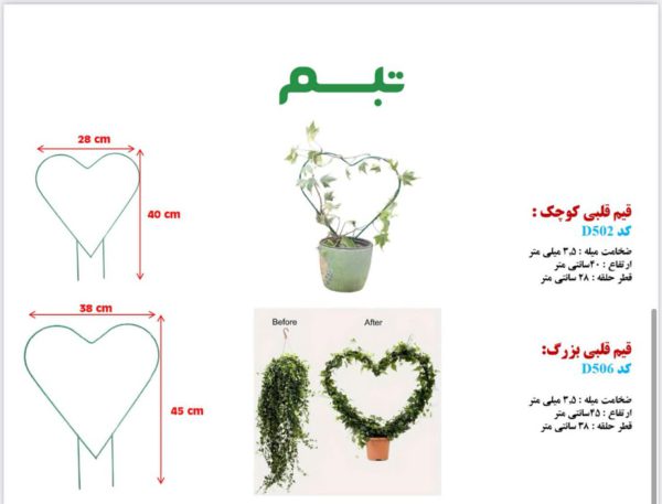 قیم قلبی