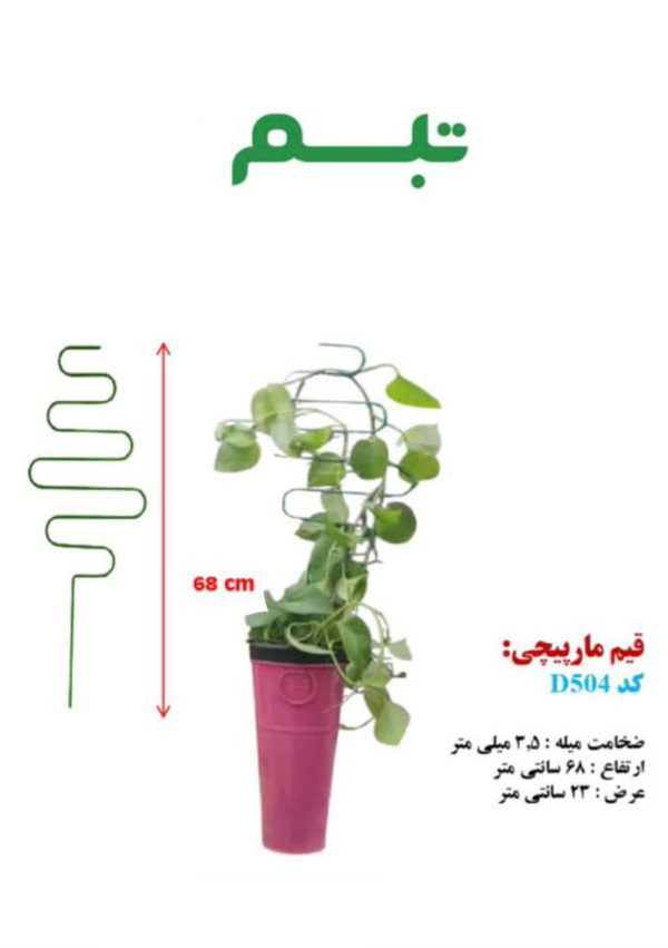 قیم مارپیچی