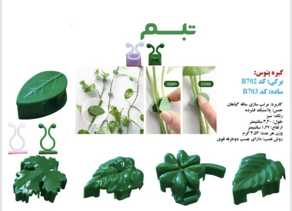 گیره پتوس
